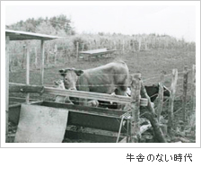 牛舎のない時代