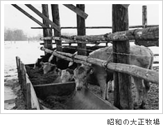 昭和の大正牧場